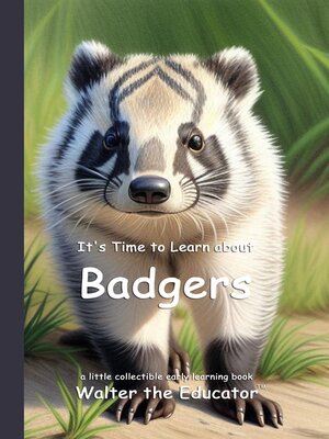 cover image of It's Time to Learn about Badgers